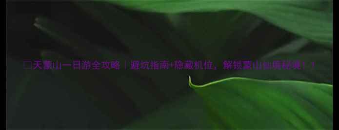 图片 ✨天蒙山一日游全攻略｜避坑指南+隐藏机位，解锁蒙山仙境秘境！1