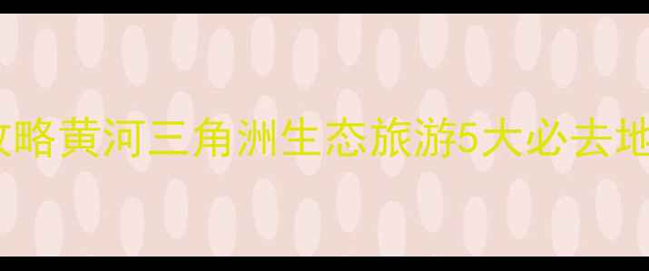 图片 东营必玩景点全攻略黄河三角洲生态旅游5大必去地+本地人私藏玩法