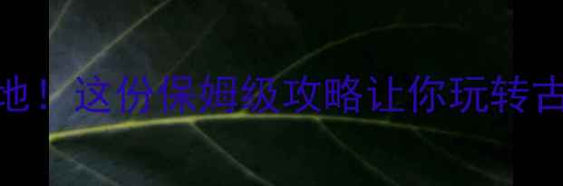 图片 乐清虹桥必去打卡地！这份保姆级攻略让你玩转古韵水乡+网红景点2