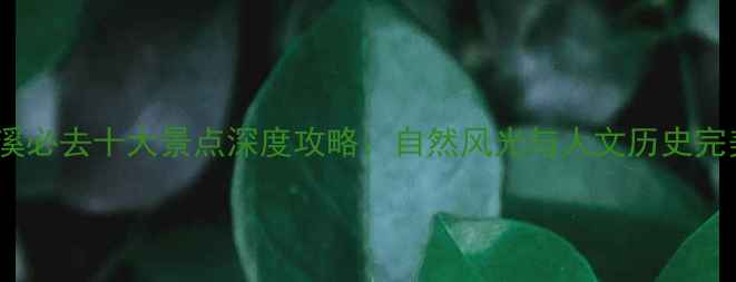 图片 宁波慈溪必去十大景点深度攻略：自然风光与人文历史完美融合2