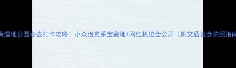 图片 少海湿地公园必去打卡攻略！小众治愈系宝藏地+网红机位全公开（附交通美食拍照指南）