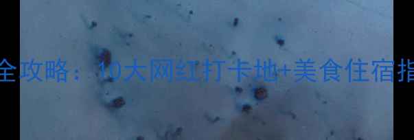 图片 山东潍坊必去景点全攻略：10大网红打卡地+美食住宿指南（附交通路线）