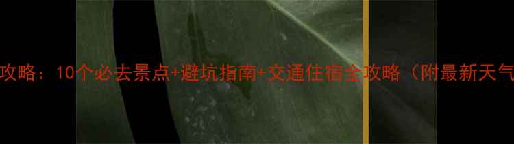 图片 广东五一出游攻略：10个必去景点+避坑指南+交通住宿全攻略（附最新天气+门票优惠）2