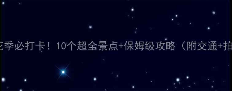 图片 武汉樱花季必打卡！10个超全景点+保姆级攻略（附交通+拍照点）1