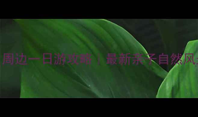 图片 淮口周边一日游攻略｜最新亲子自然风光全