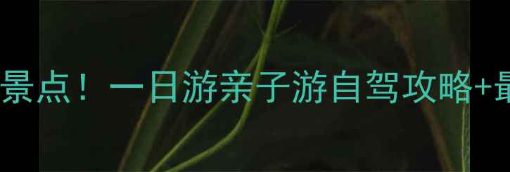 图片 苏州昆山必去十大景点！一日游亲子游自驾攻略+最新门票交通指南1