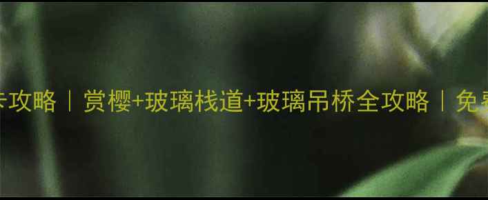 图片 邹平樱花山必打卡攻略｜赏樱+玻璃栈道+玻璃吊桥全攻略｜免费门票+交通方式1