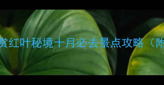 图片 重庆周边10大秋日赏红叶秘境十月必去景点攻略（附交通住宿全指南）