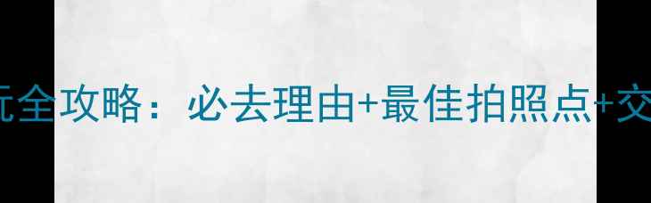 图片 青岛小青岛公园游玩全攻略：必去理由+最佳拍照点+交通指南（附地图）2