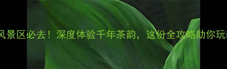图片 顾渚茶文化风景区必去！深度体验千年茶韵，这份全攻略助你玩转江南茶旅2