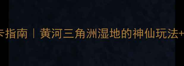 图片 🌊滨州海边宝藏打卡指南｜黄河三角洲湿地的神仙玩法+避坑攻略全公开！2