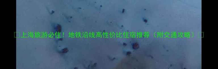 图片 🌟上海旅游必住！地铁沿线高性价比住宿推荐（附交通攻略）🚇