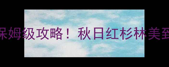 图片 🌳上海海湾森林公园必去理由+保姆级攻略！秋日红杉林美到窒息，亲子游拍照圣地全攻略2